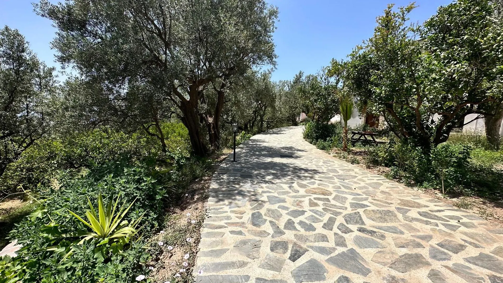 Cortijo Al-Andalus Villa Orgiva